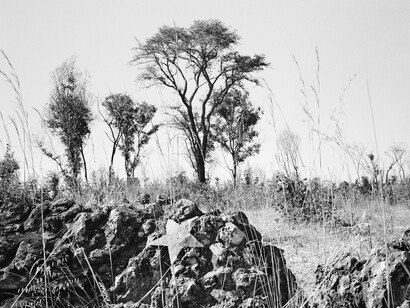 Jo Ractliffe, Unmarked mass grave on the outskirts of Cuito Cuanavale (Aus der serie: as terras do fim do mundo) (detail), 2009. Courtesy of Hamburger Kunsthalle