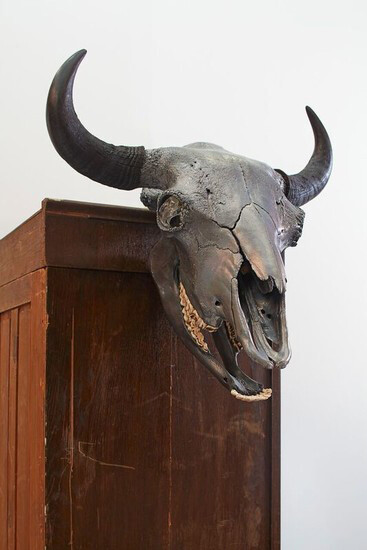Jimmie Durham. Courtesy of Migros Museum 