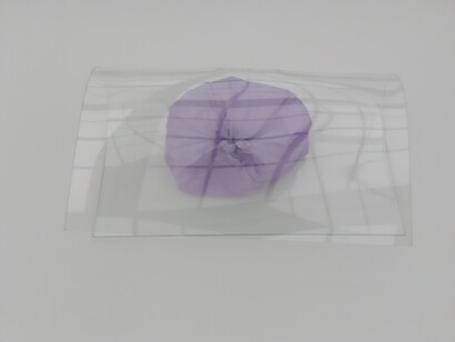 They Say It Makes Miracles, 2015. Glass from a window facing north and plastic bag