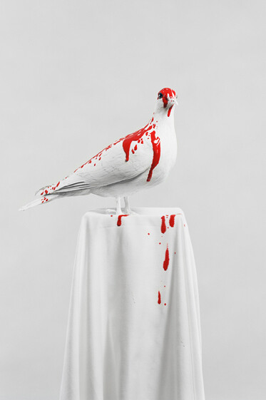 Julia Krahn, Die Taube, 2011 © Julia Krahn 