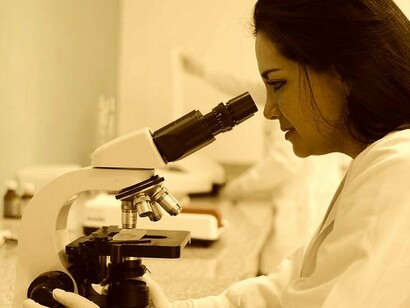 La investigación científica: el futuro del continente