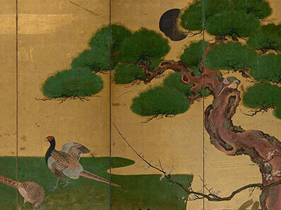 A fleeting bloom. Courtesy of Queensland Art Gallery