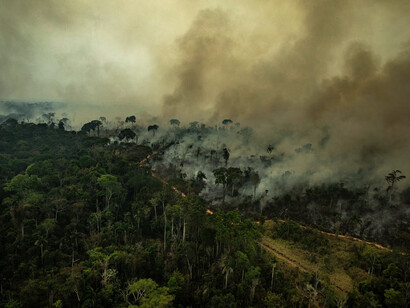 Es necesario un plan de acción contra el cambio climático: el incremento en años recientes de la deforestación en el Amazonas, verdadero pulmón del mundo, y los incendios en los humedales de Pantanal, ilustran el grado al cual la región ha abdicado de sus responsabilidades en esta materia