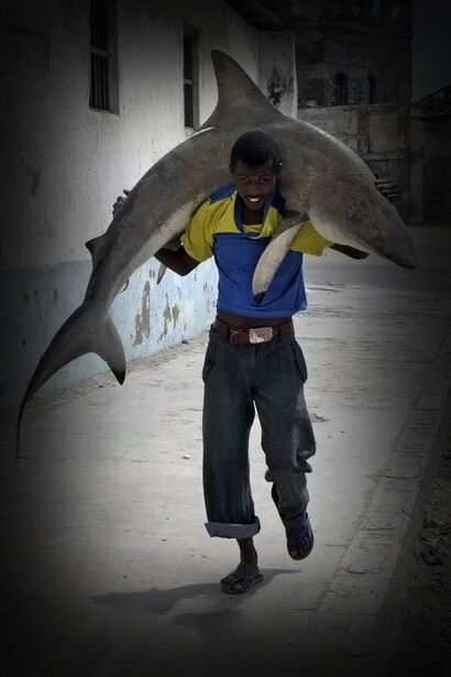 Somalia, mare pescoso e squali dovuque