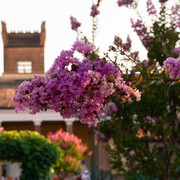 Interno Verde Ferrara, Tennis Club Marfisa