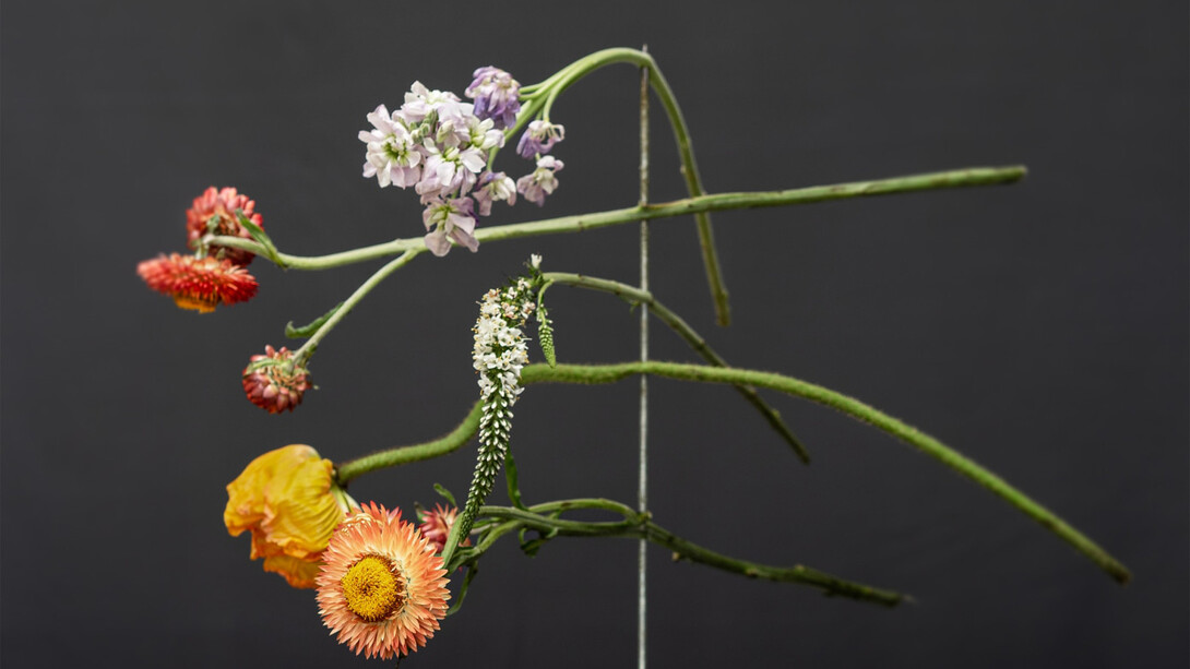 James Henkel, Floral (detail), 2023. Courtesy of Tracey Morgan Gallery