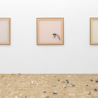 Clara Sánchez Sala, Del marfil al color hígado [From ivory to liver-tone], exhibition view. Courtesy of NF/Nieves Fernández Gallery