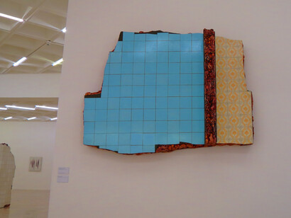 A exposição Outros Corpos Atrás de Adriana Varejão é composta por uma retrospectiva da obra do artista em duas séries: Ruinas de carne seca e Polvo