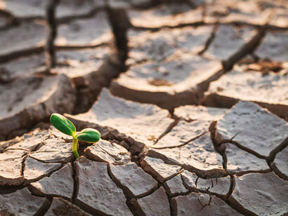 Climate-change policies and the attendant costs of mitigation will be up front