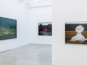 Riitta Päiväläinen, Phantasma, ausstellungsansicht. Mit freundlicher genehmigung von Persons Projects