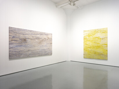 Kathleen Jacobs, Woods of symbols, exhibition view. Courtesy of Fergus McCaffrey Gallery