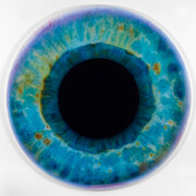 Marc Quinn, Iris (We Share Our Chemistry With the Stars) A200L DIL, 2009, Oil on canvas, 78 3/4 x 78 3/4 in, 200 x 200 cm