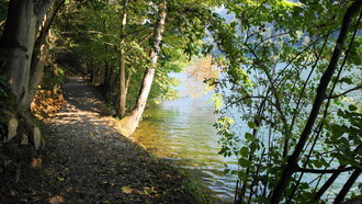 Senderos silenciosos, ruta lenta de 4,6 km a lo largo del lago en Afritz, Gegendtal, Carintia, Austria