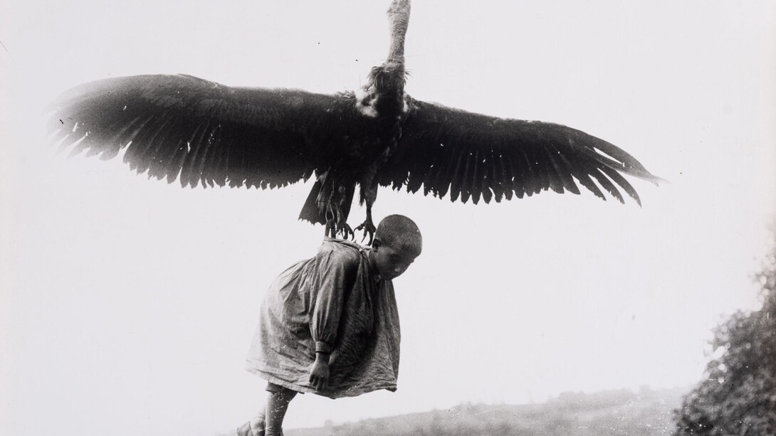 Felipe Manterola, Untitled (Composition of vulture with child). Courtesy of Museo Bellas Artes de Bilbao 