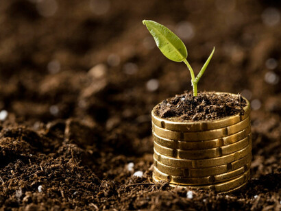El capital responsable construye los cimientos de la verdadera sostenibilidad