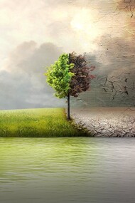 Before the Flood