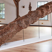 Henry Klimowicz, Methods of proceeding, exhibition view. Courtesy of Geary Contemporary