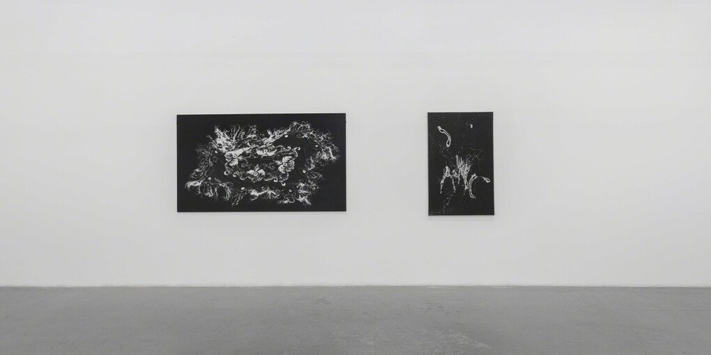 Time, light, motifs. Courtesy of M77 Gallery