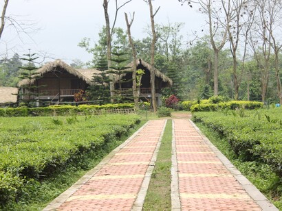 Entrance to Singpho Eco Lodge (Inthong), India
