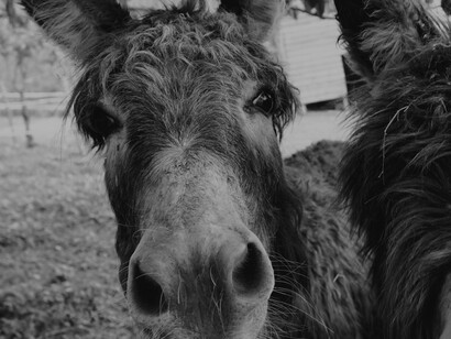 La polarisation est toujours un artifice qui cache d’autres réalités