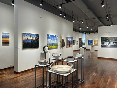 David Shingler, exhibition view. Courtesy of Momentum Gallery