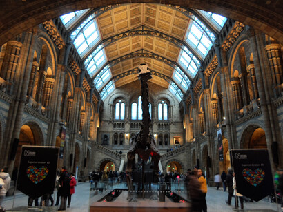 Londres. Sala central del Museo de Historia Natural