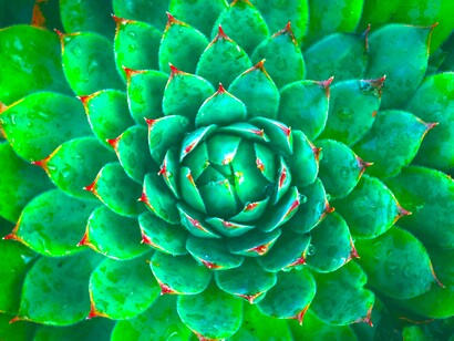 Geometrías más allá de Euclides