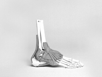 Lo que nos mantiene erguidos