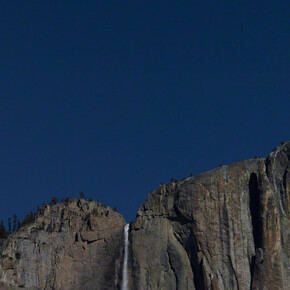 So long as they are wild. Courtesy of Lehmann Maupin