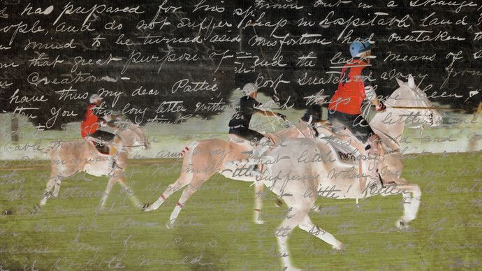 Polo,
2014
by
Paul
Gerben