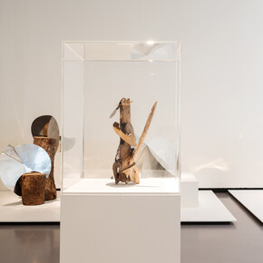 Lygia Clark, Rétrospective, vue d'exposition. Avec l'aimable autorisation du Kunsthaus Zürich