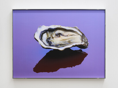 Marina Cavadini, Eat me. Courtesy of The Address Gallery