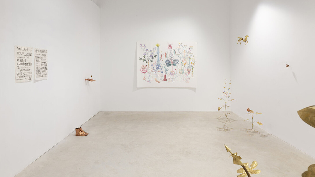 Blanca Gracia, Mala hierba nunca muere (Weeds never die), exhibition view. Courtesy Prats Nogueras Blanchard Barcelona/Madrid. Photo by Roberto Ruiz