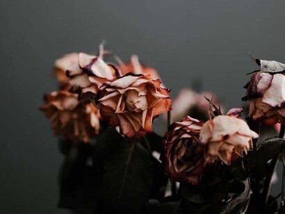 Sicherlich wird kein Arzt zur Sterbehilfe verpflichtet werden können