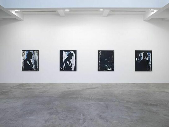 Matt Saunders, Installation view