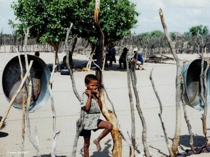 Bambina della tribù boscimane © Survival