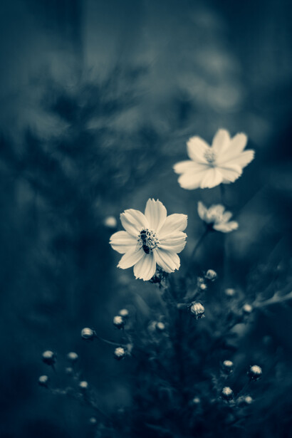 Esta actitud sostenida contribuye a reducir el estrés y la ansiedad, favoreciendo un equilibrio que se refleja tanto en el cuerpo como en la mente