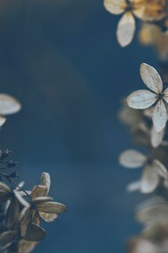 What I love about November