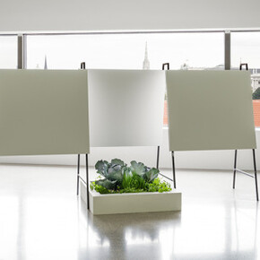 Natural Histories, Exhibition view. Courtesy of Mumok 