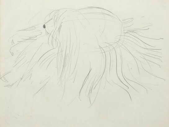 Anne Arnold, Dog, c. 1980, pencil on paper, 16 3/4 x 13 7/8 inches © Anne Arnold, courtesy Alexandre Gallery, New York