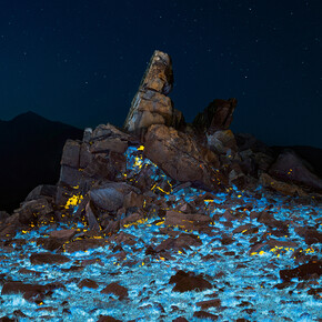 Cody Cobb, CC1480 (detail). Archival pigment print. Framed in white with plexiglass. Courtesy of the artist and Foster/White Gallery