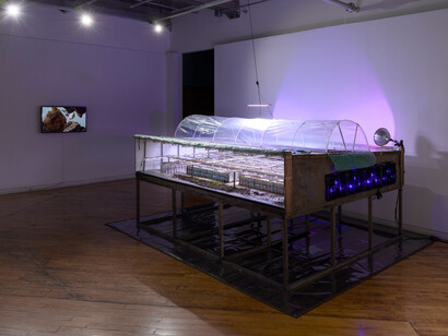 Soft Turns, Cold data, exhibition view. Courtesy of Gallery 44