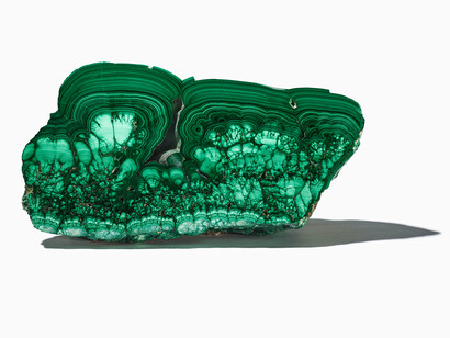 Nature en couleurs brillantes, photo d'exposition. Avec l'aimable autorisation du ROM