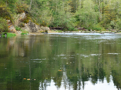 Para conectar con la esencia de nuestro ser basta con ponernos la mano en el pecho, respirar pausada y profundamente para calmar el pensamiento. Green River en Kanaskat-Palmer State Park, King County, Washington, Estados Unidos