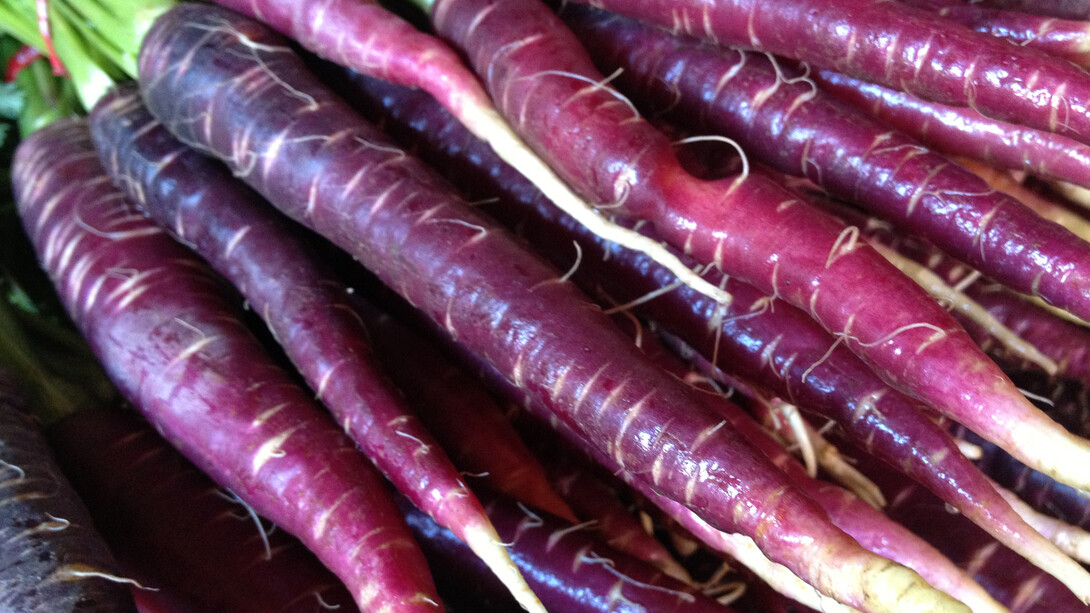 Purple Carrot