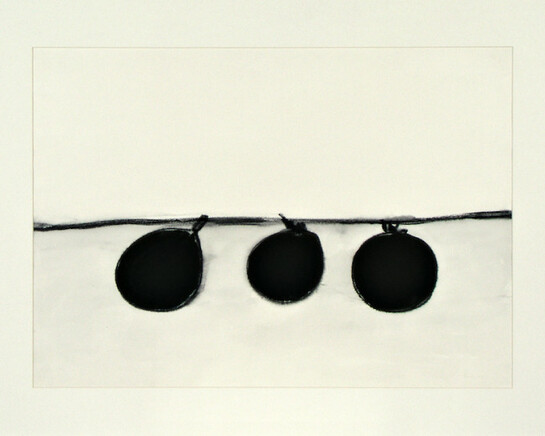 Sinais/Signals Mira Schendel. Courtesy of MAM