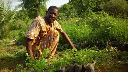 Agroforestazione in Mali