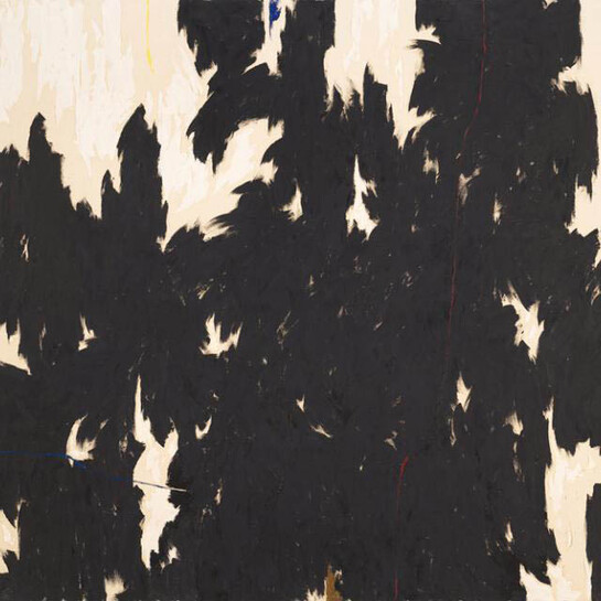 Shade. Courtesy of Denver Art Museum 