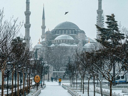Bird flying over the Hagia Sophia, Istanbul, Turkiye