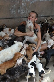 Mujer rodeada de mascotas que han sido abandonadas por sus dueños